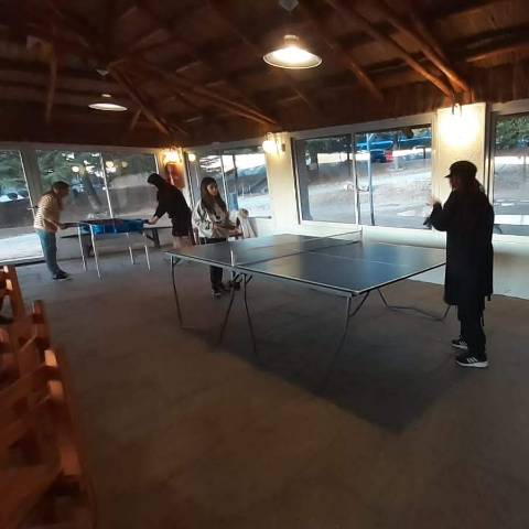 Torneos de ping pong